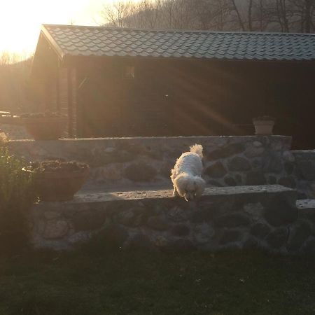 Cottage Ravna Rijeka 比耶洛波列 外观 照片
