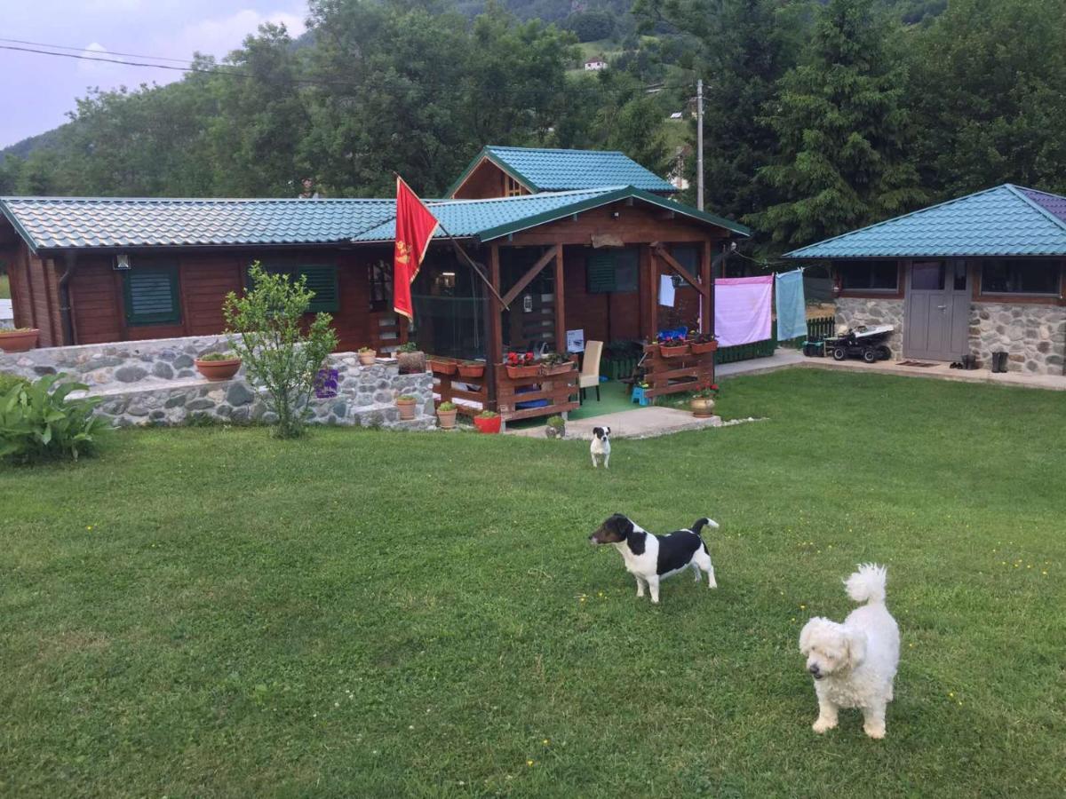 Cottage Ravna Rijeka 比耶洛波列 外观 照片
