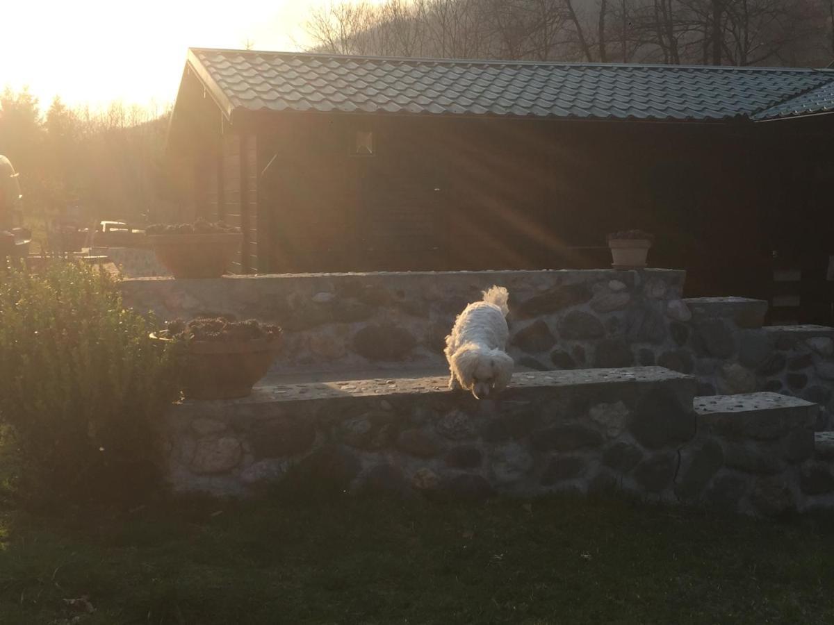 Cottage Ravna Rijeka 比耶洛波列 外观 照片